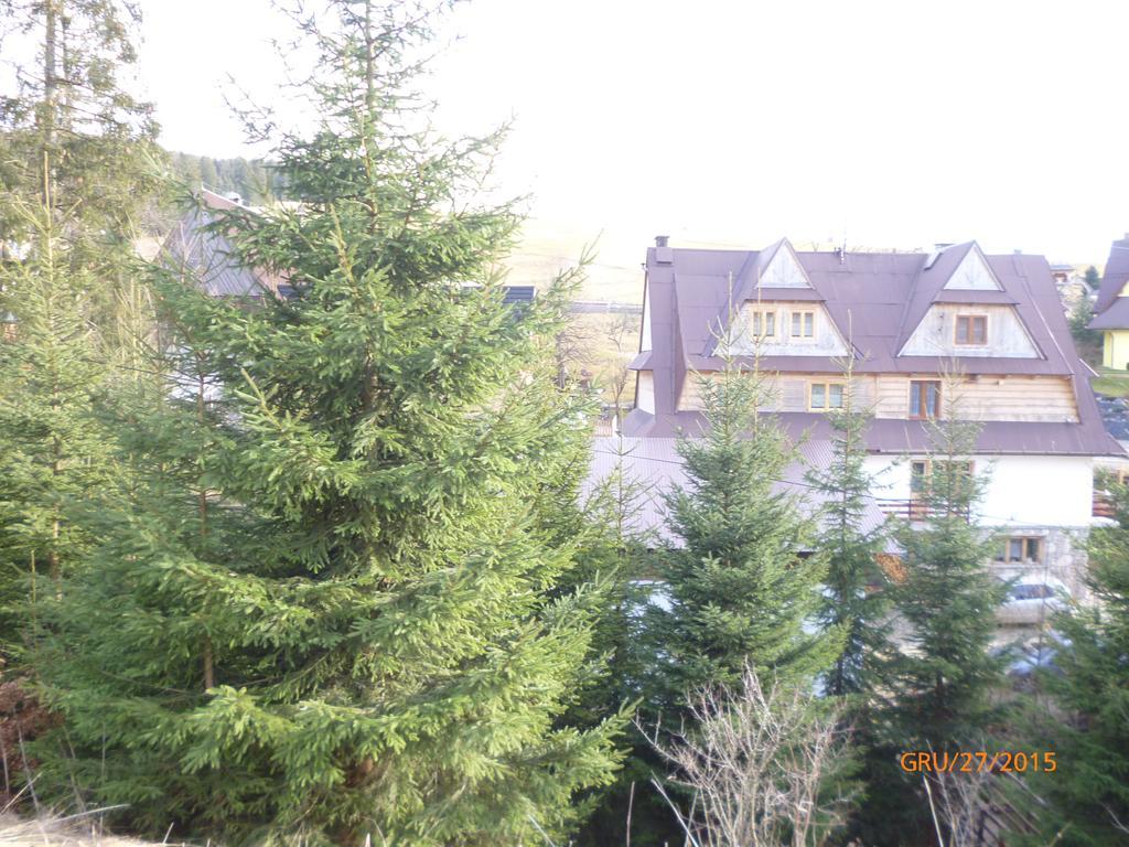 Ludwina Zeglen Pokoje Goscinne Ciche Małe Buitenkant foto